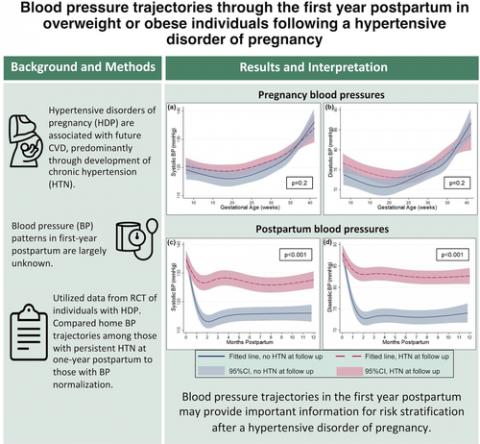 Blood Pressure Trajectories Through the First Year Postpartum in Overweight or Obese Individuals Following a Hypertensive Disorder of Pregnancy