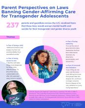 Infographic on Parent Perspectives on Laws Banning Gender-Affirming Care for Transgender Adolescents 